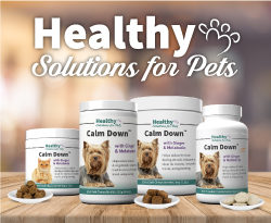 Healthy Solutions for Pets