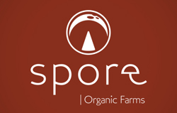 Spore Organic Farms Identity Guide