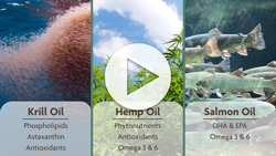 NaturVet Hemp Video