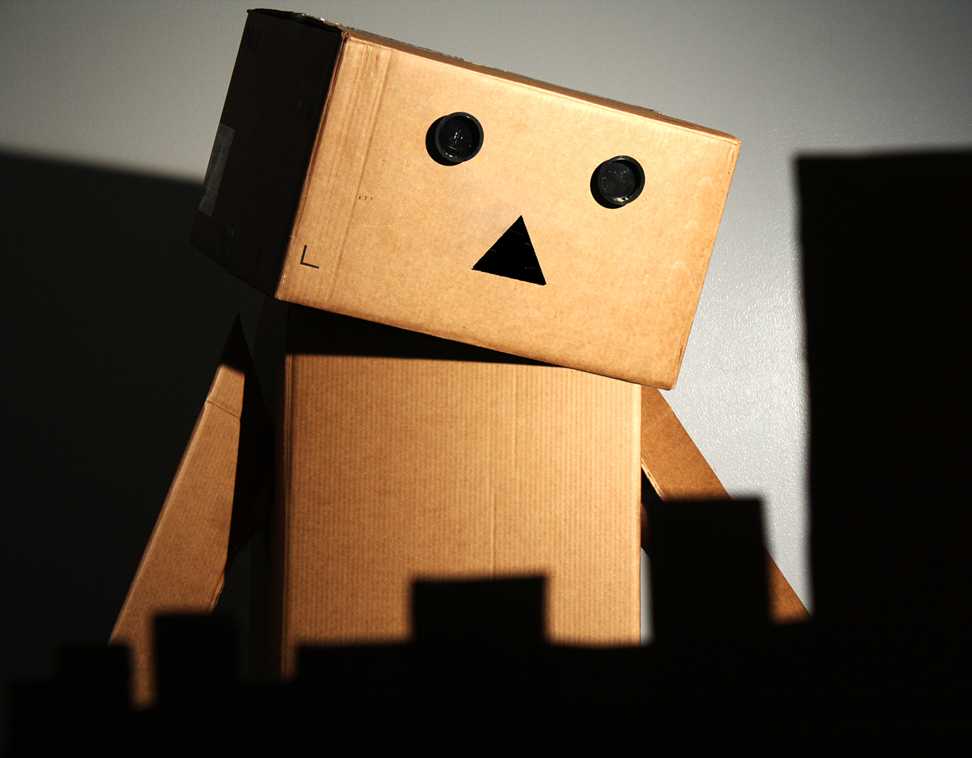 What's Wrong Danbo?