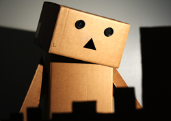 What's Wrong Danbo?